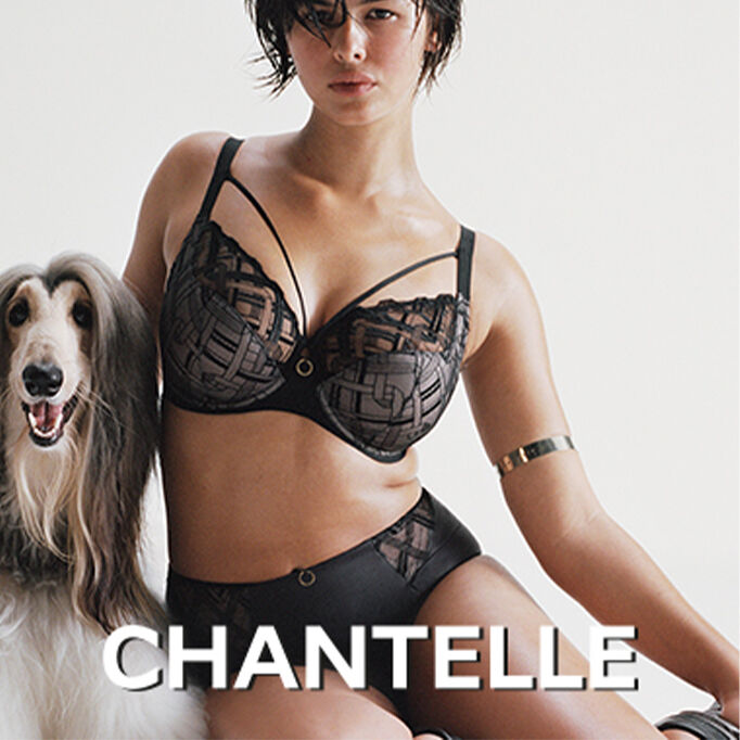 Graphic Support Graphic Support